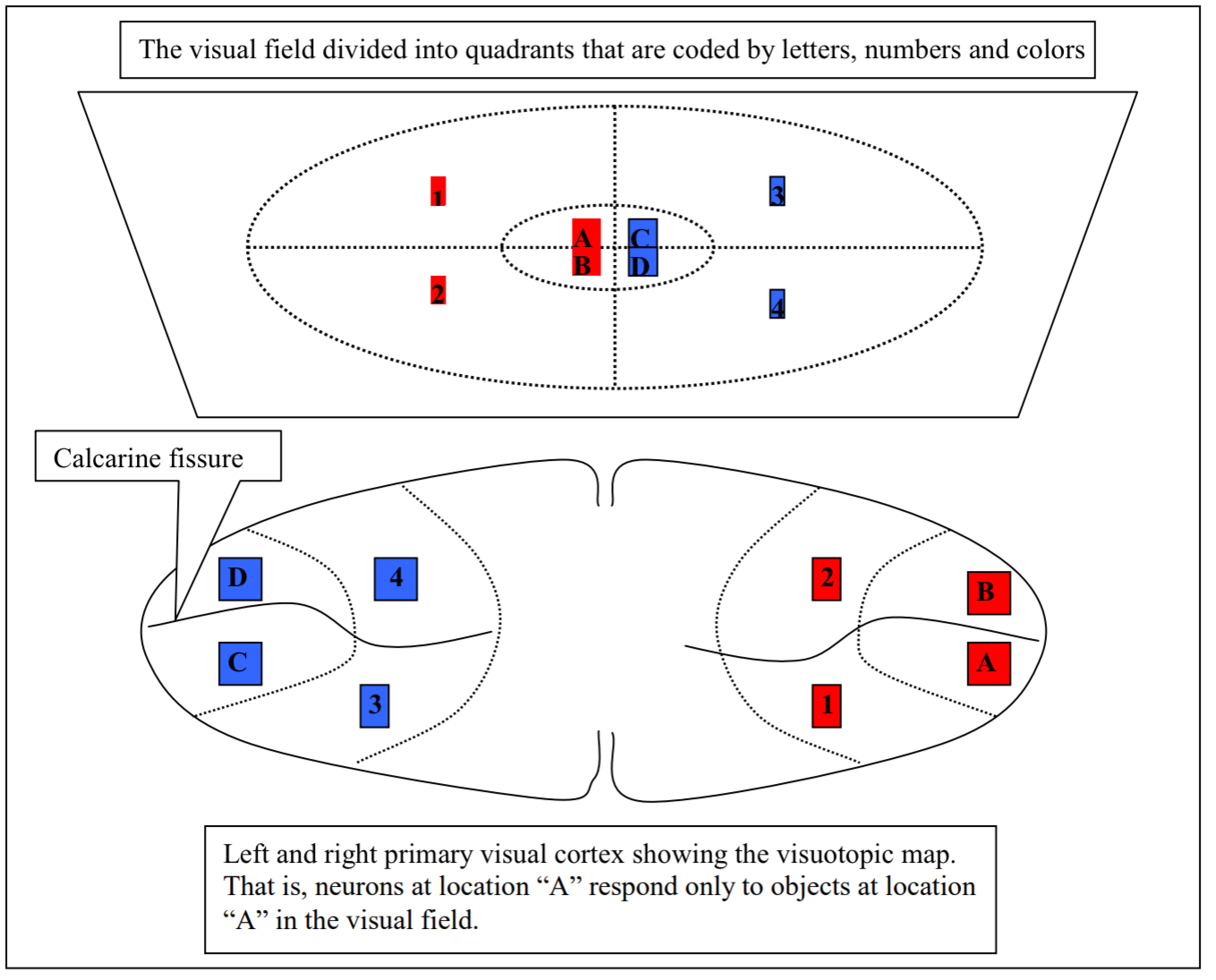 <p>What does this diagram illustrate and describe it?</p>