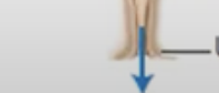 <p><span style="background-color: transparent;">&nbsp;the opening through which urine passes to outside</span></p>