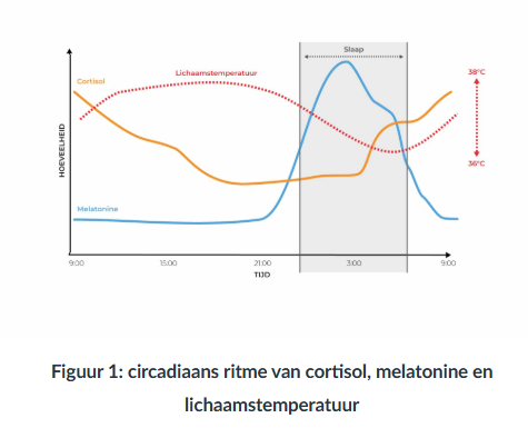 <p><strong>cortisol</strong><span> en </span><strong>melatonine</strong></p><p><span><strong>Cortisol</strong> niet alleen bij stress. Het <strong>reguleert </strong>ook <strong>functies </strong>van je <strong>metabolisme </strong>en <strong>immuunsysteem</strong>. Je hoort<strong> zo’n half uur na het ontwaken een piek in je cortisolniveau te hebben,</strong> waardoor je <strong>goed wakker wordt</strong>, <strong>alert blijft </strong>en<strong> klaar </strong>bent <strong>voor </strong>je <strong>dag</strong>. Dit is de <strong><em>Cortisol Awakening Response (CAR)</em></strong>, een <strong>gezonde functie van cortisol </strong>die volgens onderzoekers een van de <strong>beste indicaties geeft van een goed werkend energiesysteem</strong>. <strong>Na </strong>een <strong>piek in de ochtend</strong> neemt het <strong>cortisolniveau geleidelijk af,</strong> <strong>vooral </strong>rond <strong>vier uur ‘s middags.</strong> Het is dus normaal dat je rond die tijd een dip in je alertheid ervaart.</span><br><br><span>In het <strong>begin van de avond</strong> neemt <strong>langzaam</strong> de <strong>concentratie melatonine</strong> in je bloed <strong>toe</strong>, wat het<strong> signaal aan je lichaam geeft dat het nacht wordt.</strong> <strong>Hoe langer je wakker bent geweest, hoe sterker de zogenaamde ‘slaapdruk’ wordt,</strong> wat <strong>samen met melatonine de impuls geeft om te willen gaan slapen.</strong></span></p><p></p><p><span><strong>=</strong></span><strong>circadiaans ritme </strong>(samen met lichaamstemeratuur)</p>