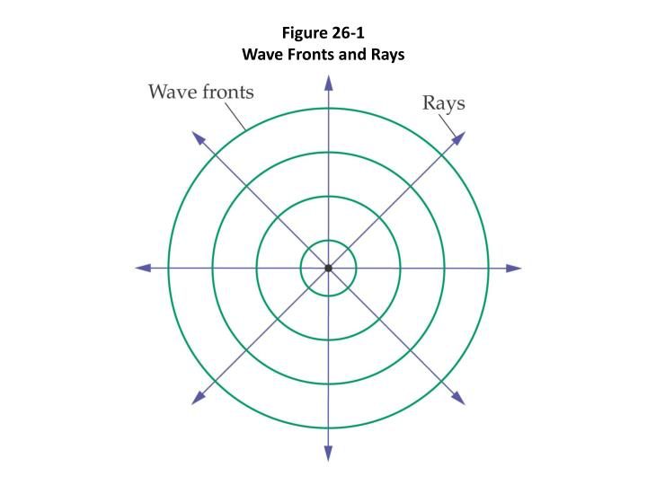 <ul><li><p>this diagram shows a point source so makes waves that propagate away from the point, making the wave fronts circles</p></li><li><p>the rays are parallel to the tangent of the circle — if you zoomed in enough the curve would look flat</p></li><li><p>the rays can be perpendicular to the wave front as the tangent will always be a straight line</p></li></ul>