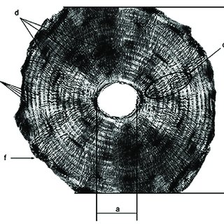 <p>What is this?</p>