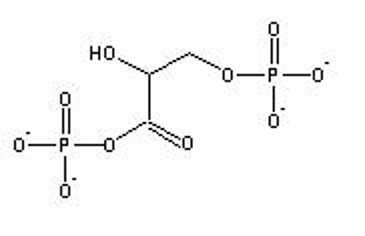 <p>Adenosine diphosphate, precursor to ATP.</p>