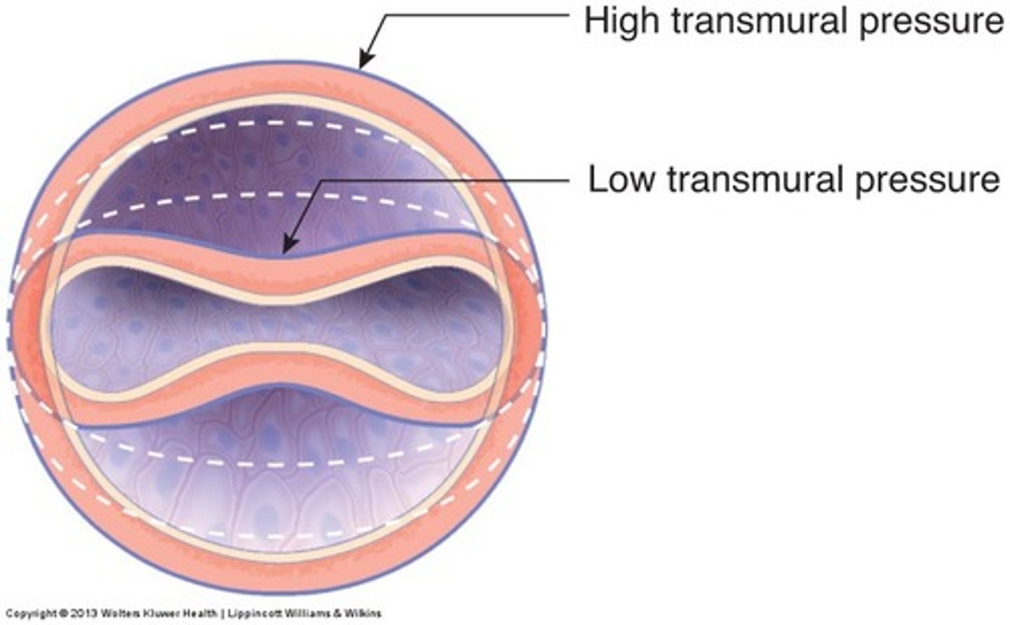 <p>pressure difference exerted on the two sides of a wall</p>