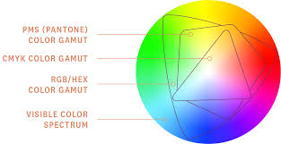 <p>The range of colors that can be produced by any given process or device</p><p>-almost infinite number of colors possible</p><p>Human eye= 1mil-10 mil</p><p>Chickens=more than humans (they have an extra cone)</p><p>CMYK= 4000 colors</p><p>RBG=even more</p><p>9% of men have some degree of color blindness</p><p>Less than 3% of women have color blindness</p>