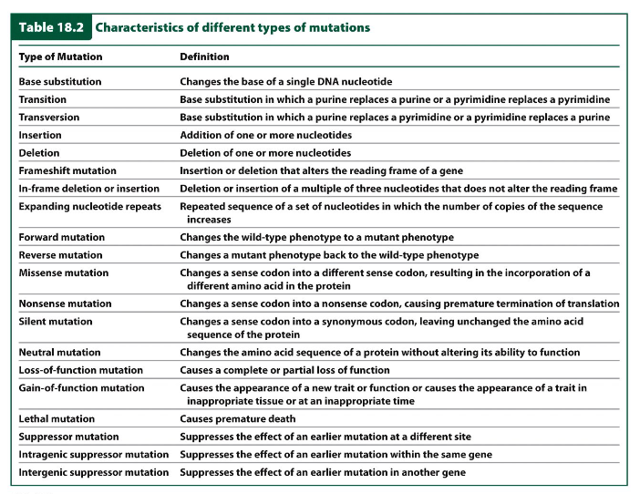 <p>Characteristics of Different Types of Mutations</p>