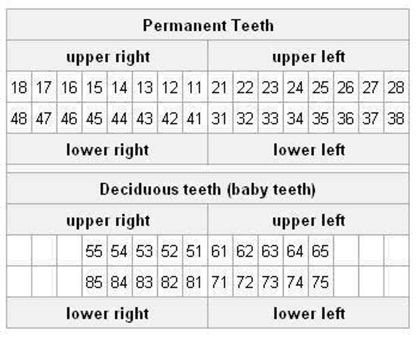 <p>1) First digit denotes quadrant (1, 2, 3 , 4) for permanent dentitions (5, 6, 7, 8) for deciduous dentitions</p><p>2) Second digit denotes tooth number 1, 2, 3, 4, 5 (for deciduous) + 6, 7, 8 for permanent dentition, 37 pronounced "three-seven"</p>