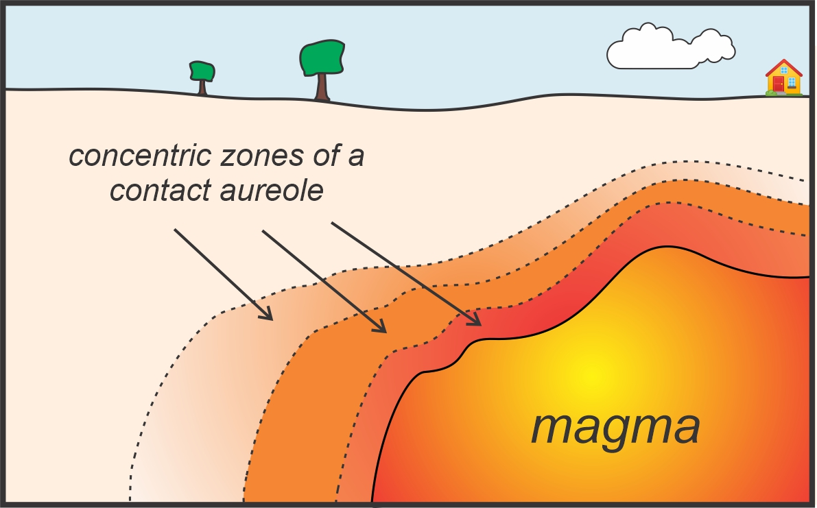 <p>Small scale metamorphism due to igneous intrusions.</p>