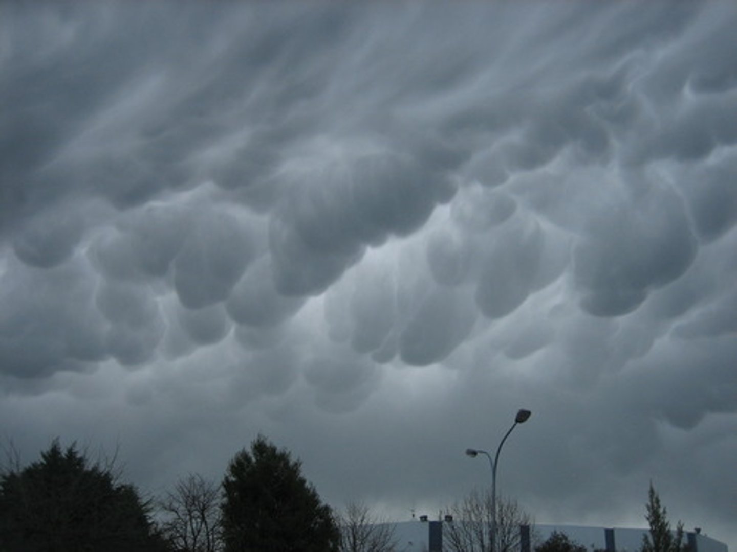 <p>low hanging bulges that droop from cumulonimbus clouds. Mammatus clouds are usually associated with severe weather.</p>