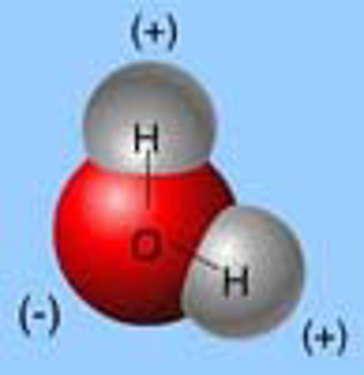 <p>hydrogen and oxygen atoms.</p>