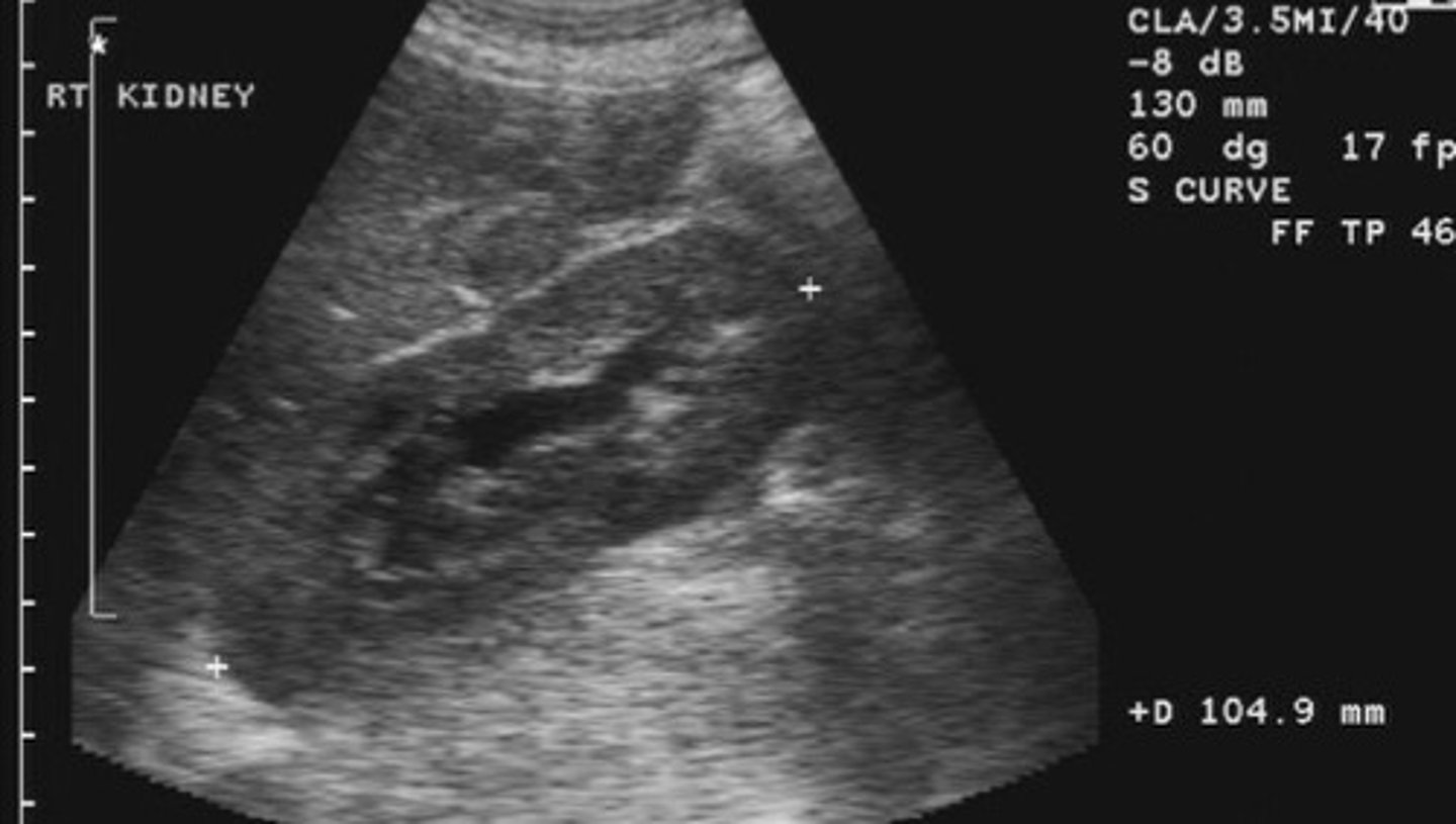 <p>What does this image show</p>