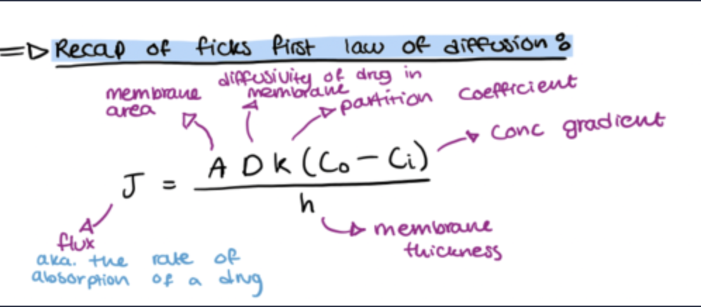 <ul><li><p>Describes drug diffusion across a membrane. </p></li><li><p>Can also be applied to diffusion rate (flux) across a whole epithelium (considering A and h). </p></li><li><p> Properties of the drug are K, ΔC and radius (MW).</p></li></ul><p></p>