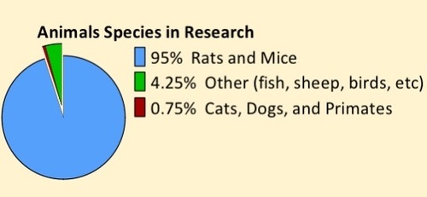 <p>Mice, rats, rabbits</p>