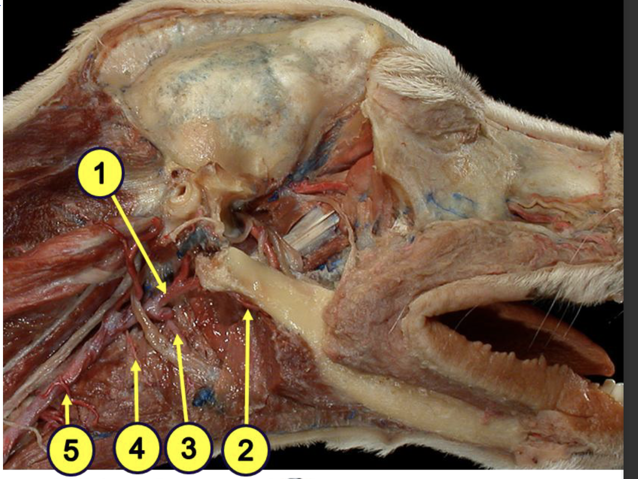 <p>what is 3?</p>