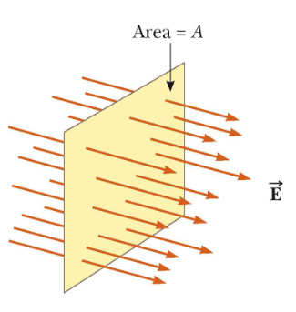 <ul><li><p><strong><span>Φ = E*A*cos(</span></strong><span><strong><span>θ)</span></strong></span></p></li><li><p><span><span>Electric field through a surface </span></span></p><ul><li><p>field lines penetrating an area A perpendicular to the field </p></li><li><p><span><span>the perpendicular to the area A is at an angle </span><strong><span>θ </span></strong><span>to the field</span></span></p></li></ul></li></ul><p></p>