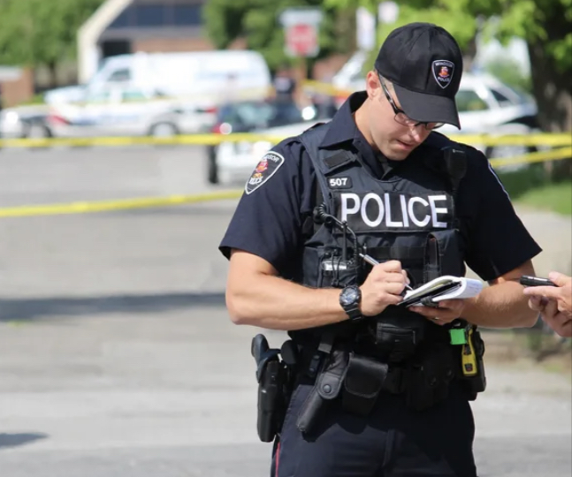 <p><strong><em><mark data-color="blue">police officer</mark></em></strong></p>
