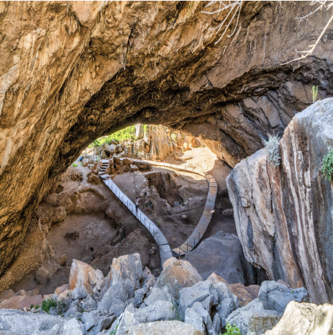 knowt flashcard image