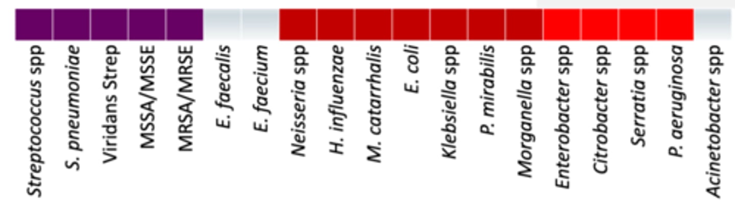 <p>• Anaerobes: +/- (oral anaerobes)</p><p>• Miscellaneous: </p><p>- Not activity against ESBLs</p><p>- Poor activity against AmpC</p><p>• FDA approved for MRSA bacteremia and endocarditis </p><p>• Coverage - Basically ceftaroline + psuedomonas</p>