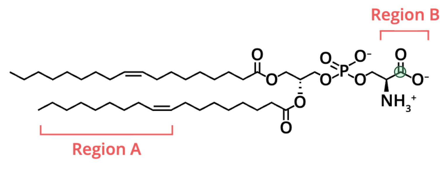 <p>its on the far right</p>