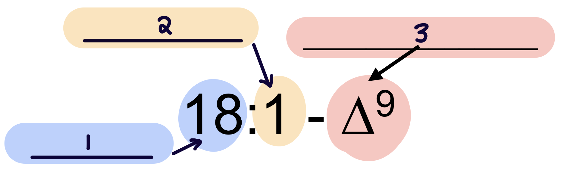 <p>Fill in the blanks.</p>