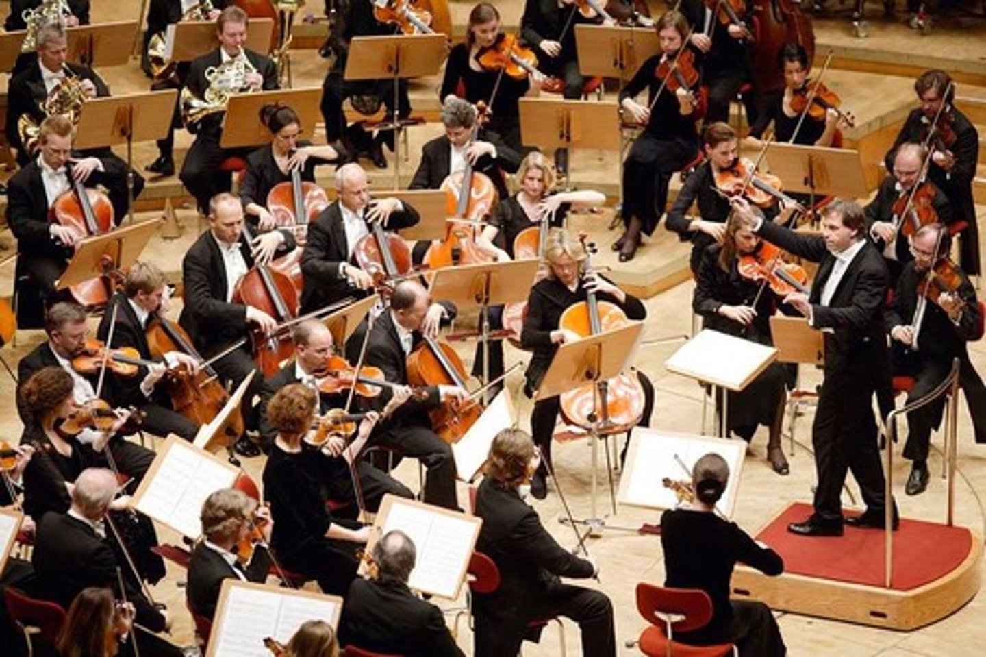 <p>la orquesta</p>
