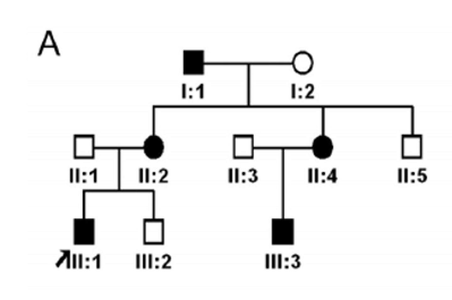 <p>Identify the pattern of inheritance:</p>