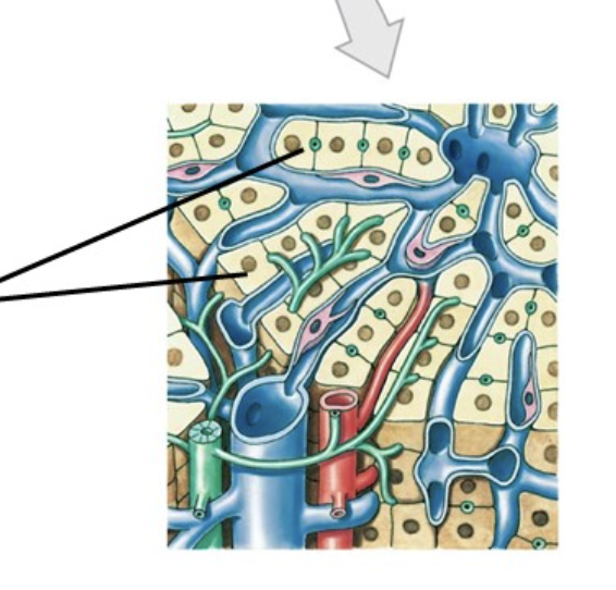 <p>What is the line pointing to&nbsp;</p>
