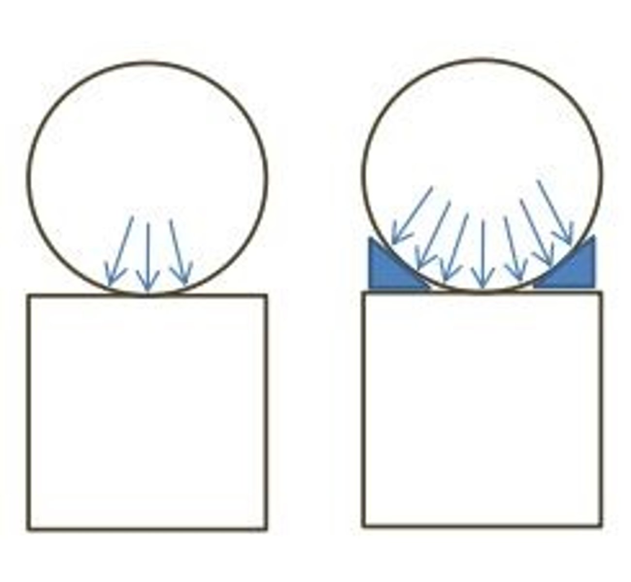 <p>hoạt động</p>