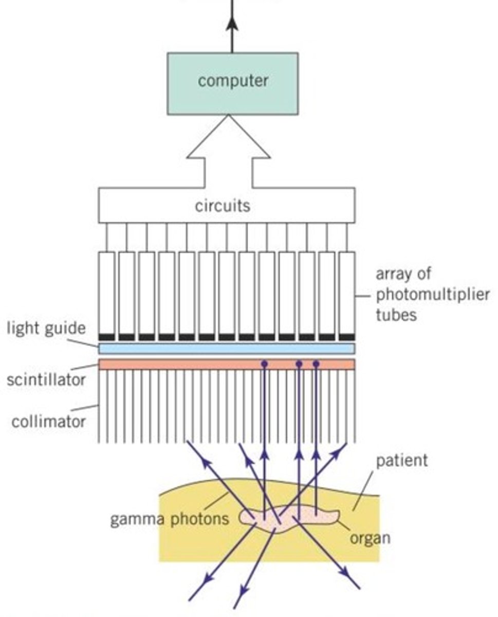 <p>- collimator</p><p>- scintillator</p><p>- photomultiplier</p>