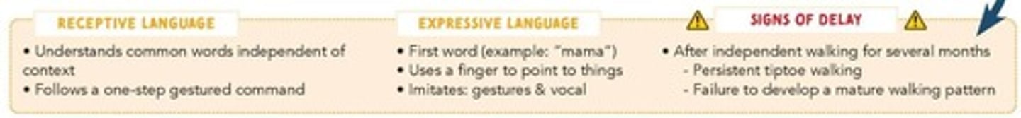 <p>Between 0-3 years.</p>