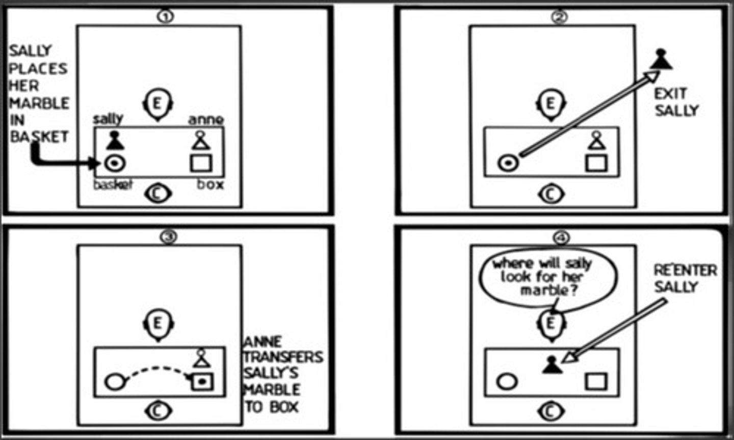 <p>test to see if children have developed Theory of Mind<br><br>Two dolls (Sally &amp; Anne), marble, basket, box<br>A child watches as Anne puts a marble in a basket and leaves the room. Sally puts the marble in a box. Sally comes back and the studier asks the child where Anne will look for the marble?<br><br>A kid who has an active &amp; successful Theory of Mind will say that the marble is in the basket<br>A kid who does not will say the marble is in the box</p>