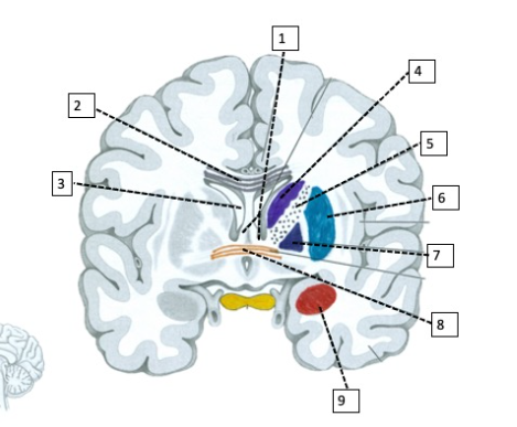 <p>8</p>