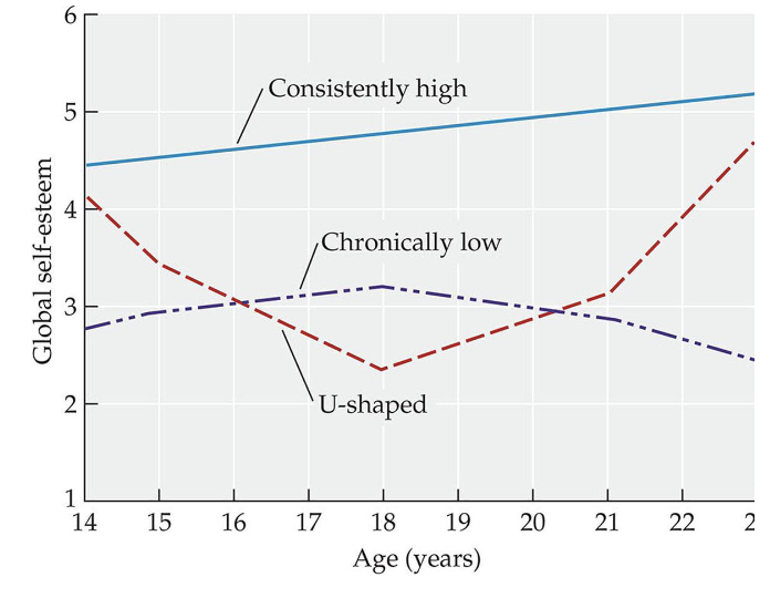 <ul><li><p>Starts high, decline through childhood</p></li><li><p>Overall, seems to increase beginning in mid-adolescence</p><ul><li><p>But lots of individual differences?</p></li><li><p>10 percent of individuals has a U shape trajectory of self esteem</p></li></ul></li></ul><p></p>