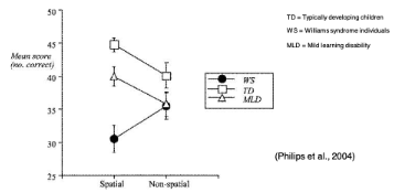 <p><strong>Difficulty in comprehending spatial syntax</strong> (ex. understanding "the cat is under the table")</p><p></p><p><span data-name="dna" data-type="emoji">🧬</span> <strong>Williams Syndrome: Cognitive Profile</strong></p><ul><li><p class="">Unusual pattern of learning difficulties</p></li><li><p class="">Preserved verbal skills</p></li><li><p class="">Impaired visual processing </p></li></ul><p></p><p><span data-name="bar_chart" data-type="emoji">📊</span> <strong>Graph Explanation</strong></p><ul><li><p class="">Compares <strong>spatial</strong> vs <strong>non-spatial</strong> sentence comprehension</p></li><li><p class="">Three groups:</p><ul><li><p class=""><strong>TD</strong> = Typically Developing children</p></li><li><p class=""><strong>WS</strong> = Williams Syndrome individuals</p></li><li><p class=""><strong>MLD</strong> = Mild Learning Disability</p></li></ul></li></ul><p> Key Result: </p><ul><li><p class="">WS group performs much worse than TD and MLD on <strong>spatial</strong> syntax tasks, but is closer in <strong>non-spatial</strong> syntax.</p></li><li><p class="">Indicates a <strong>specific visuospatial processing deficit</strong>, not general cognitive impairment.</p></li></ul><p></p>