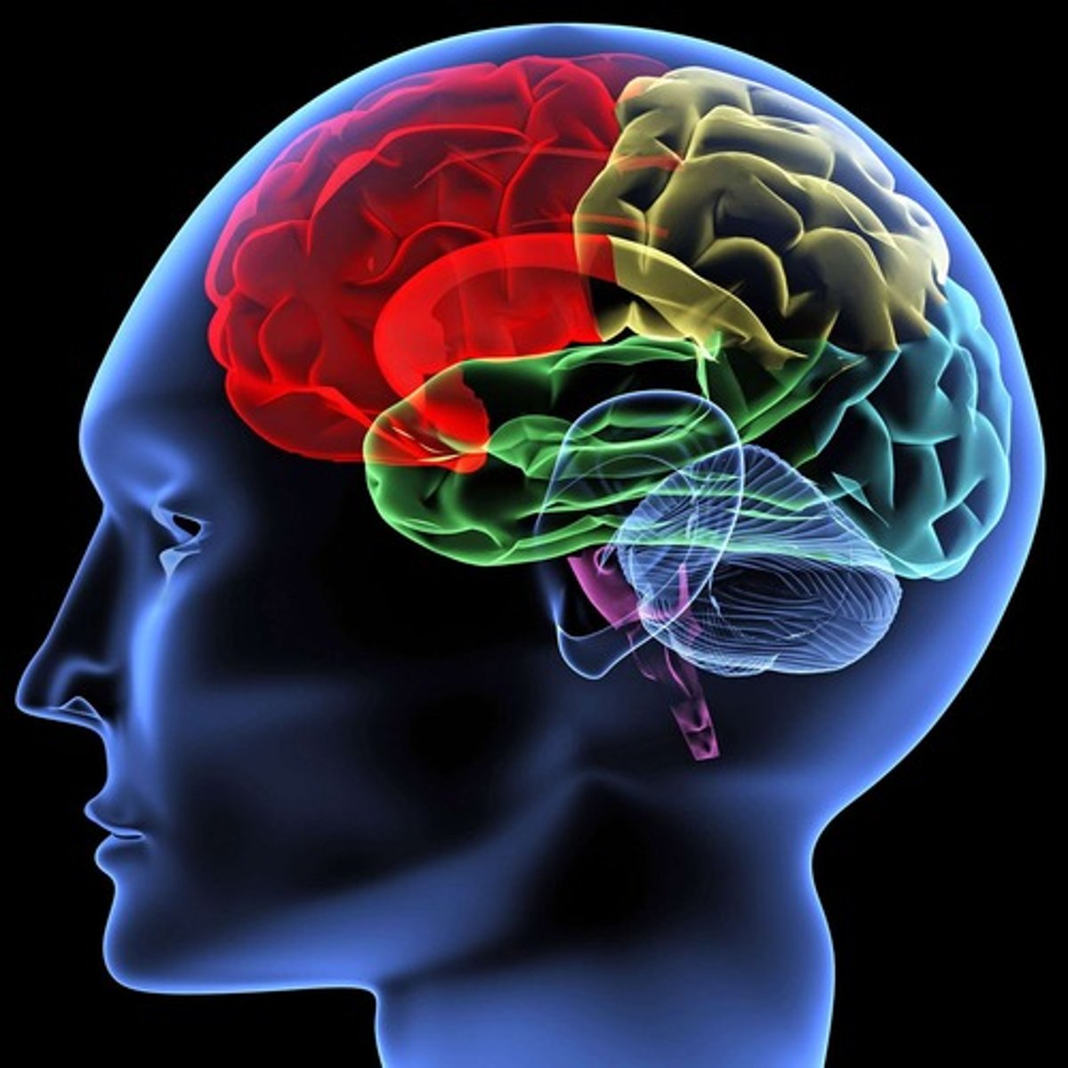 <p>- Miracles = An interpretation of the mind</p><p>- Reject miracles as an activity by a supernatural being</p><p>- May be seen as symbols / something that lifts the spirit or transforms a community</p>