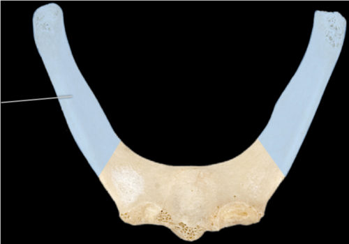 Part of the hyoid bone projecting backward from the body of it