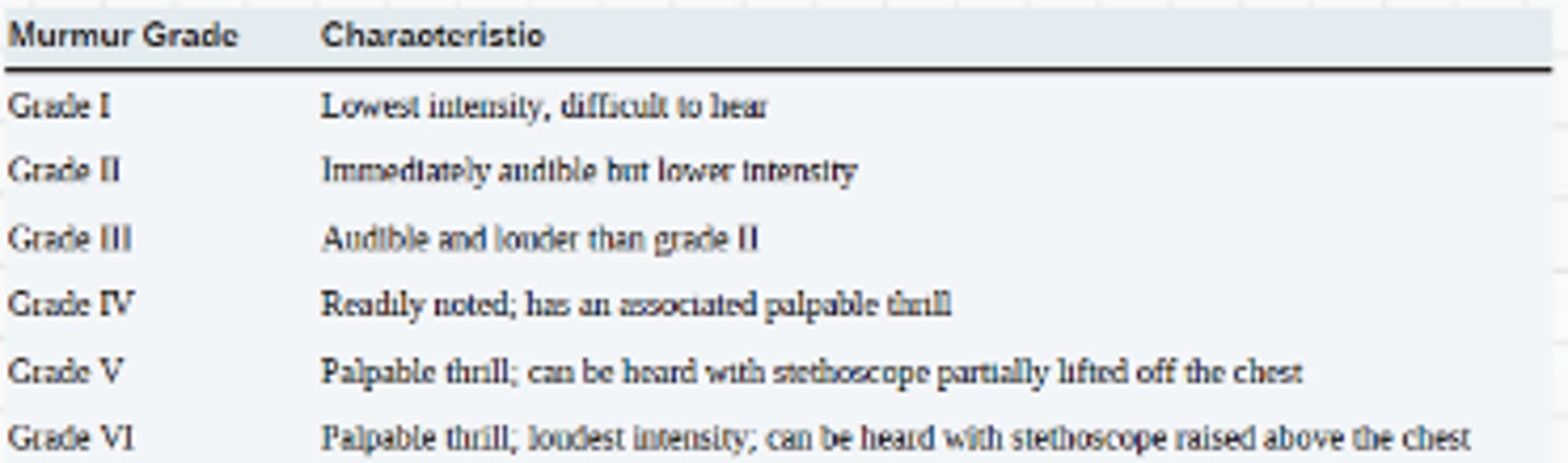 <p>grading of murmurs:</p><p>1/6- faint, not heard in all positions</p><p>2/6- quiet, but not difficult to hear</p><p>3/6- moderately loud</p><p>4/6- moderate w/ thrills</p><p>5/6- heard with stethoscope barely on chest, loud w/ thrills</p><p>6/6- heard with stethoscope off chest, very loud w/ thrills</p><p>Systolic = I to VI</p><p>Diastolic = I to IV</p>