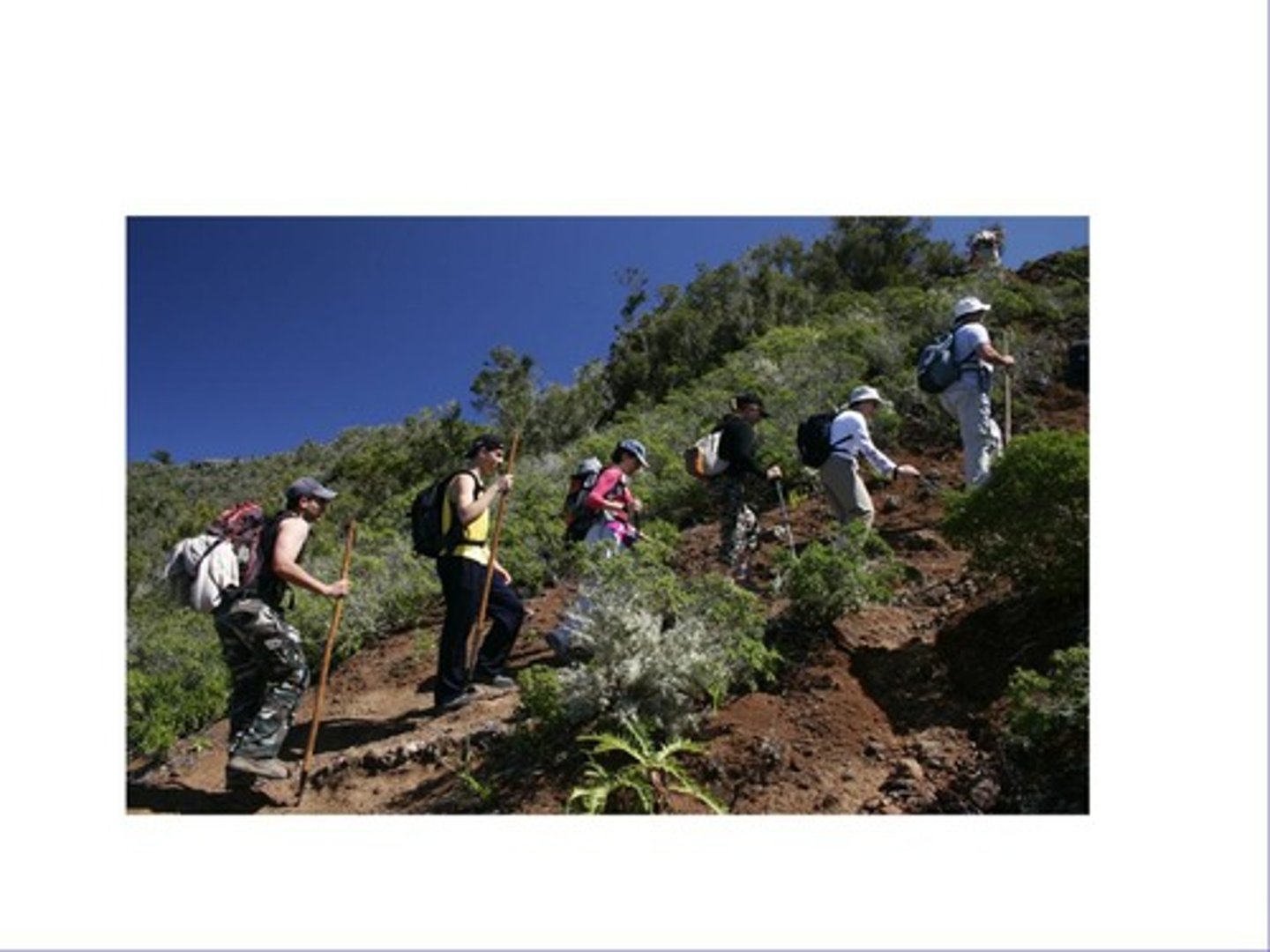 <p>to hike</p>