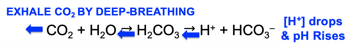 low blood pH, hyperventilation drives CO2 out of the body and reduces \[H+\] returning blood to pH 7.4