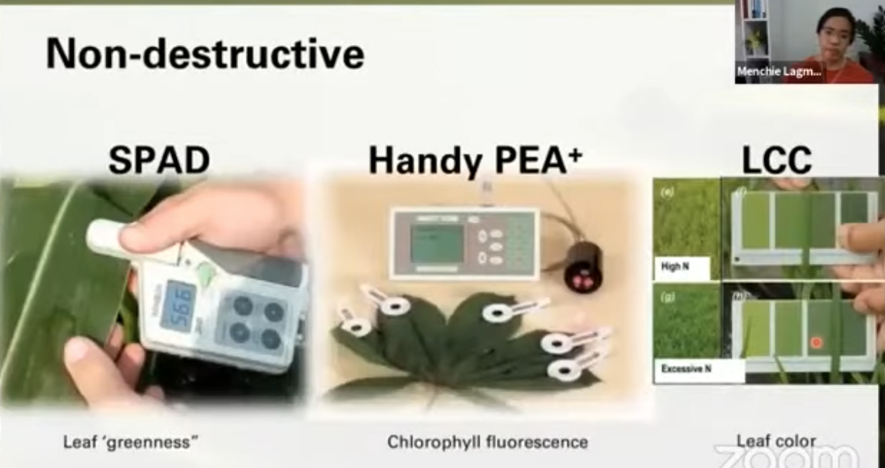 Dr. Mark Redillas Molecularbased Nitrogen Monitoring System Towards