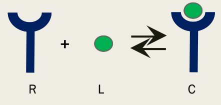 <p>The simplest case in which 1 ligand binds to 1 receptor</p>