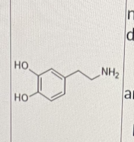 <p>Which of the following is/are correct about the molecule shown below?</p><p>I. It is the neurotransmitter dopamine</p><p class="p1">II. All of its receptors are GPCRs</p><p class="p1">III. It has a net positive charge under physiologica pH</p>