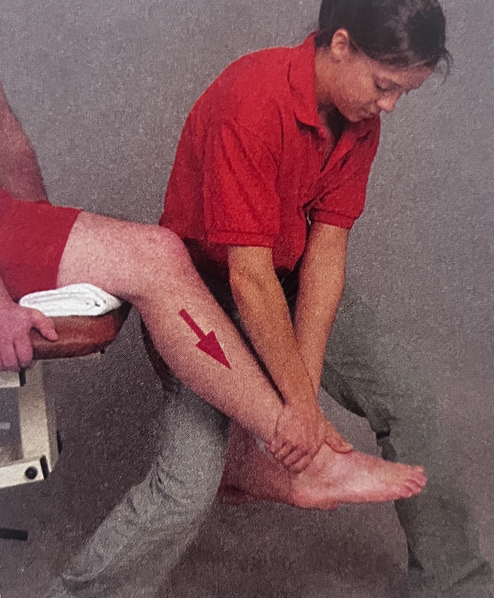 <p>What joint mob is this?</p>