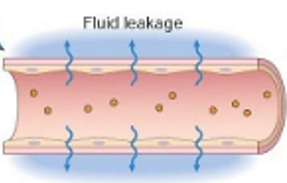 <ul><li><p>low protein content, few cells</p></li><li><p>increased hydrostatic pressure</p></li><li><p>decreased colloid osmotic pressure </p></li><li><p>decreases protein synthesis </p></li></ul><p></p>
