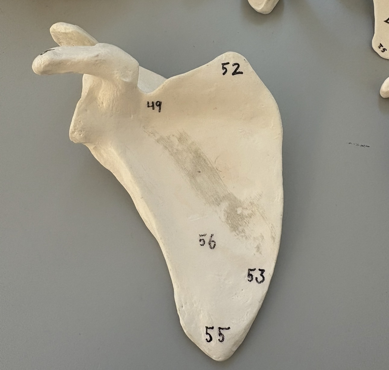 <p>what does 56 indicate?</p>