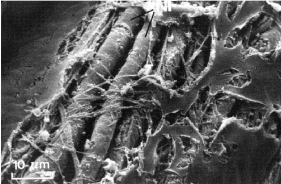 <p>What is this?</p>