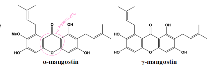<p>É um xantona, não um flavonoide, poque apesar de possuir o heterociclo possui um conjunto de 3 aneis condensados e não os aneis A, C, B como os flavonoides.</p><p>Ação: anti-inflamatória, antimicrobiana, anti-oxidante, anticarcinogénica</p><p>têm uma unidade isoprénica em c2 e c8 </p>