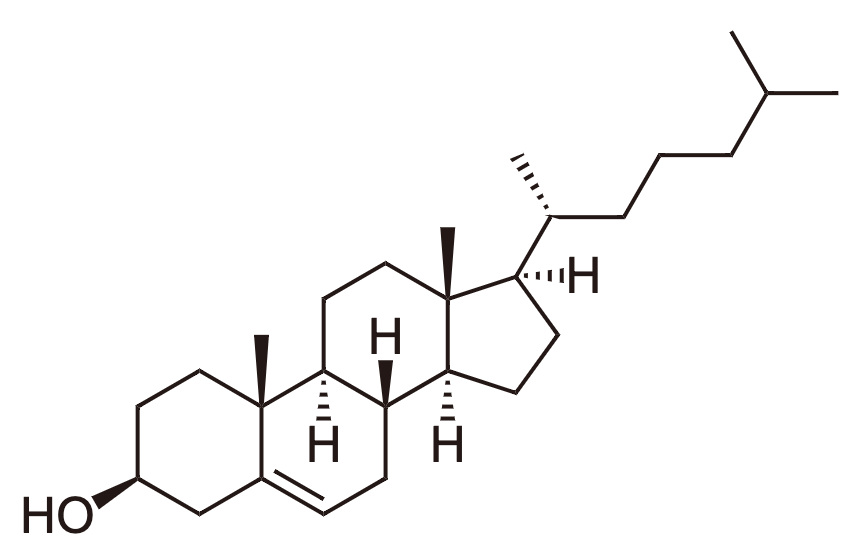 <p>are <strong>another class of lipids</strong> and all share a common multiple-ring structure </p><ul><li><p>Lipids with a <strong>shared core structure</strong></p></li><li><p>Different functions, same backbone</p><ul><li><p>ex: testosterone + cholestrol</p></li></ul></li></ul><p></p>
