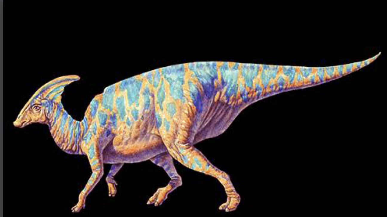 <p>Ornithischian dinosaur</p>