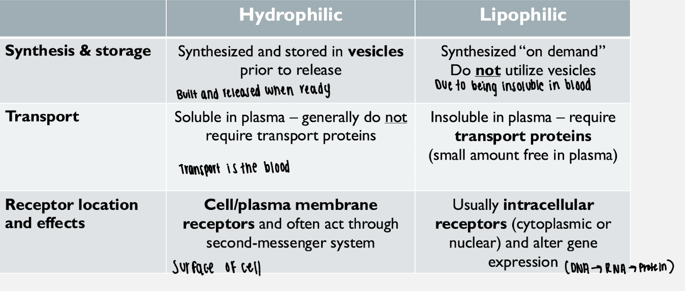 <p>Peptide/protein hormones, steroid hormones, and amino acid–derived hormones</p>