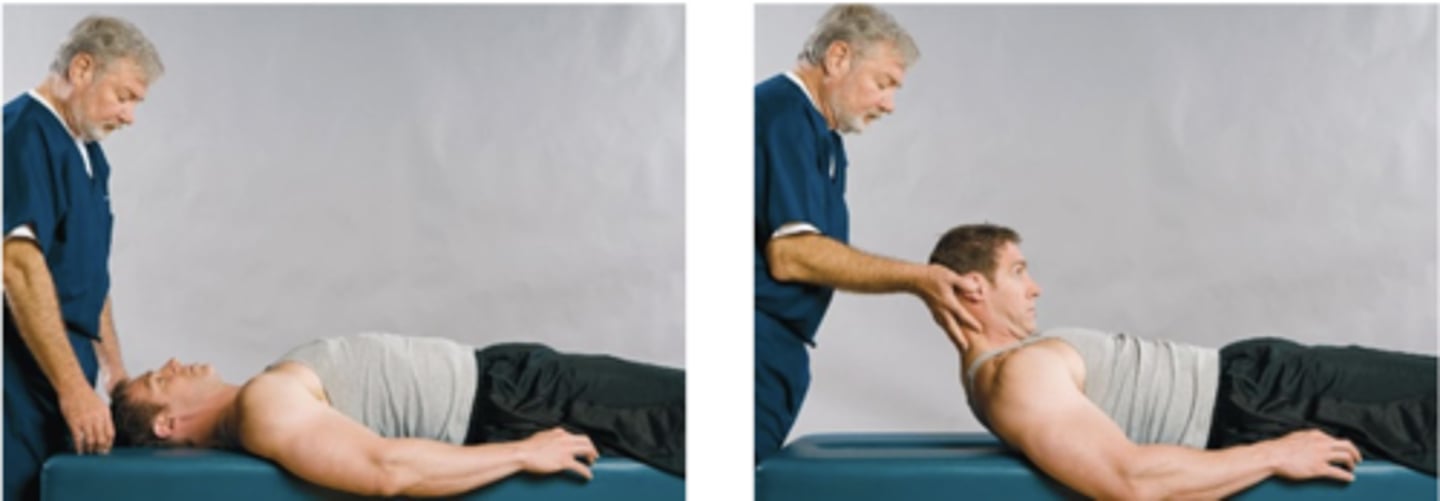 <p>What is another position the Lindner Sign can be done in?</p>